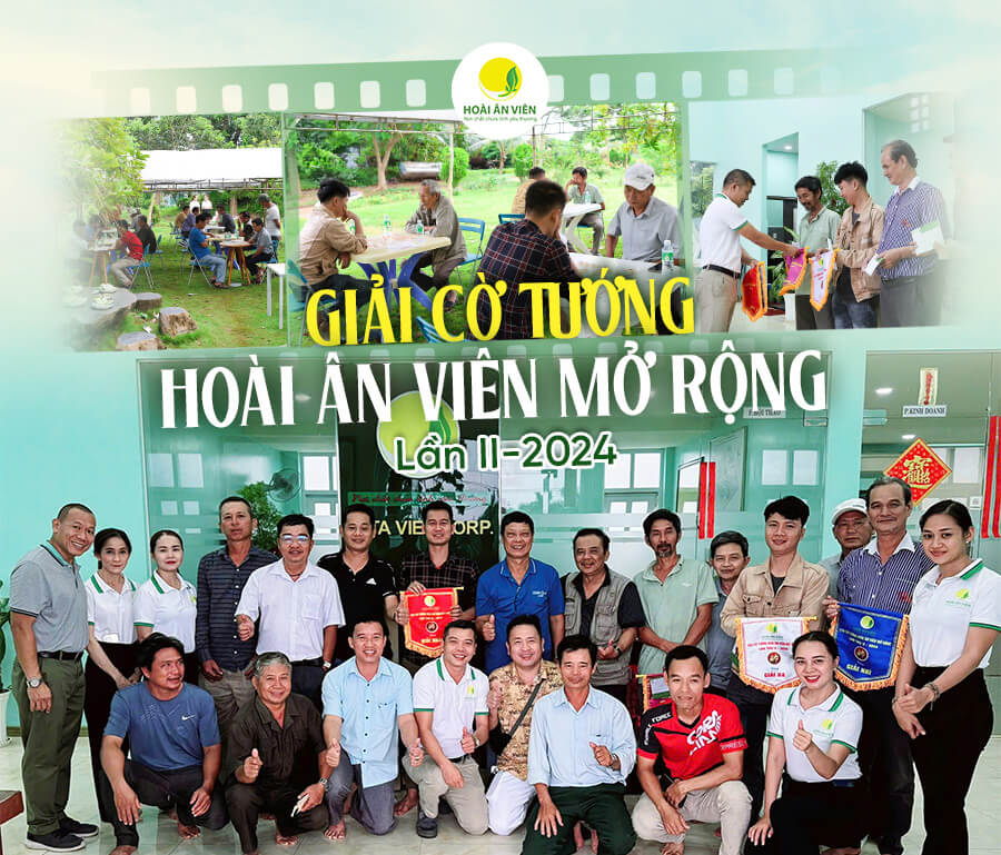 giải cờ tướng mở rộng