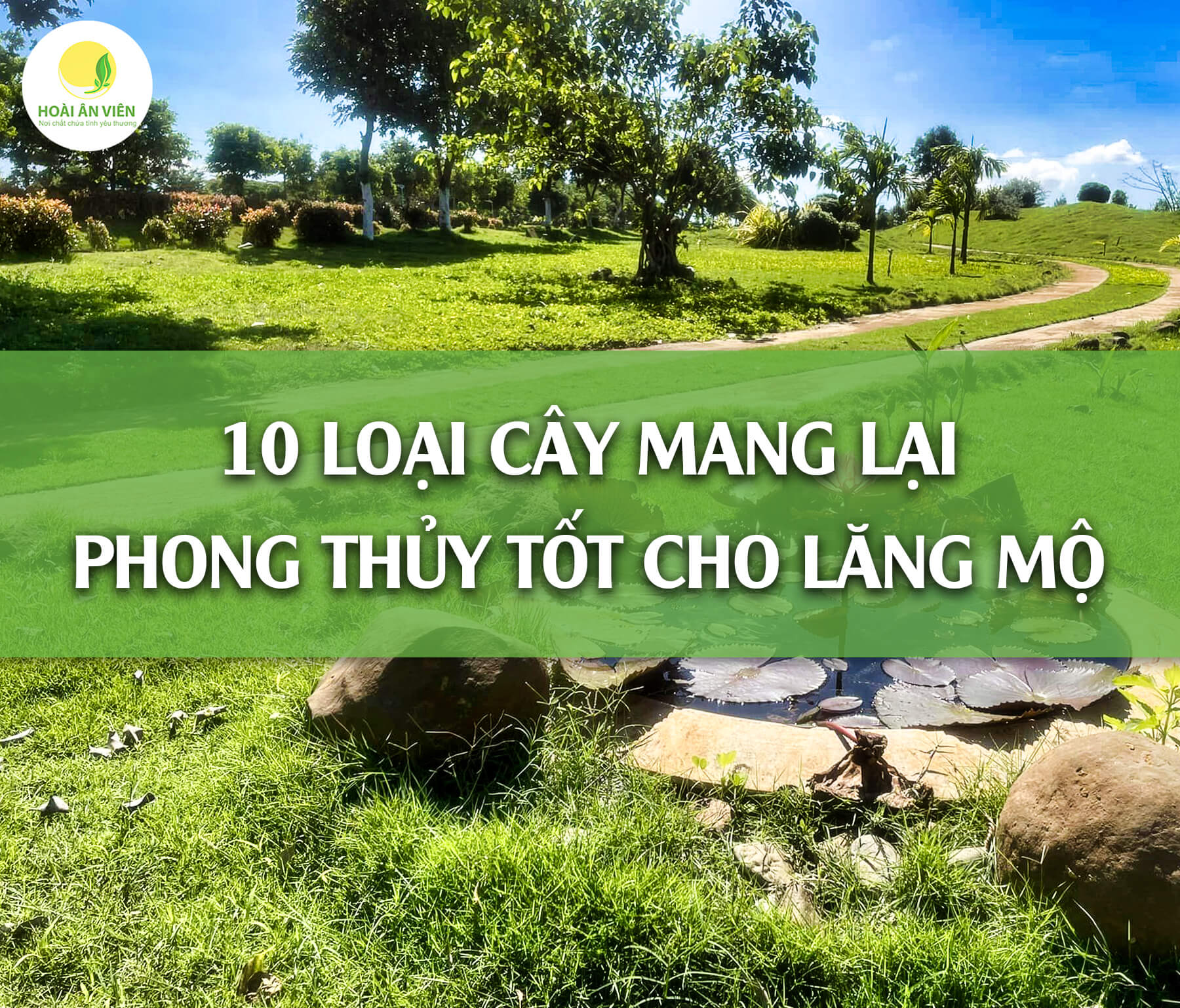 TOP 10 LOẠI CÂY MANG LẠI PHONG THỦY TỐT CHO LĂNG MỘ