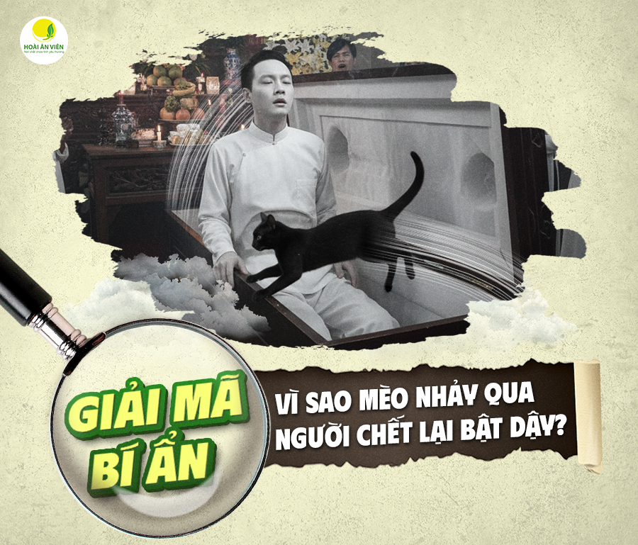 GIẢI MÃ BÍ ẨN: VÌ SAO MÈO NHẢY QUA NGƯỜI CHẾT LẠI BẬT DẬY?