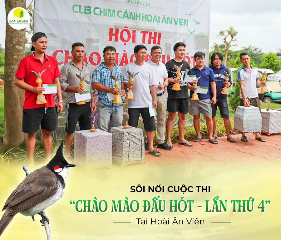 SÔI NỔI CUỘC THI “CHÀO MÀO ĐẤU HÓT - LẦN THỨ 4” TẠI HOÀI ÂN VIÊN