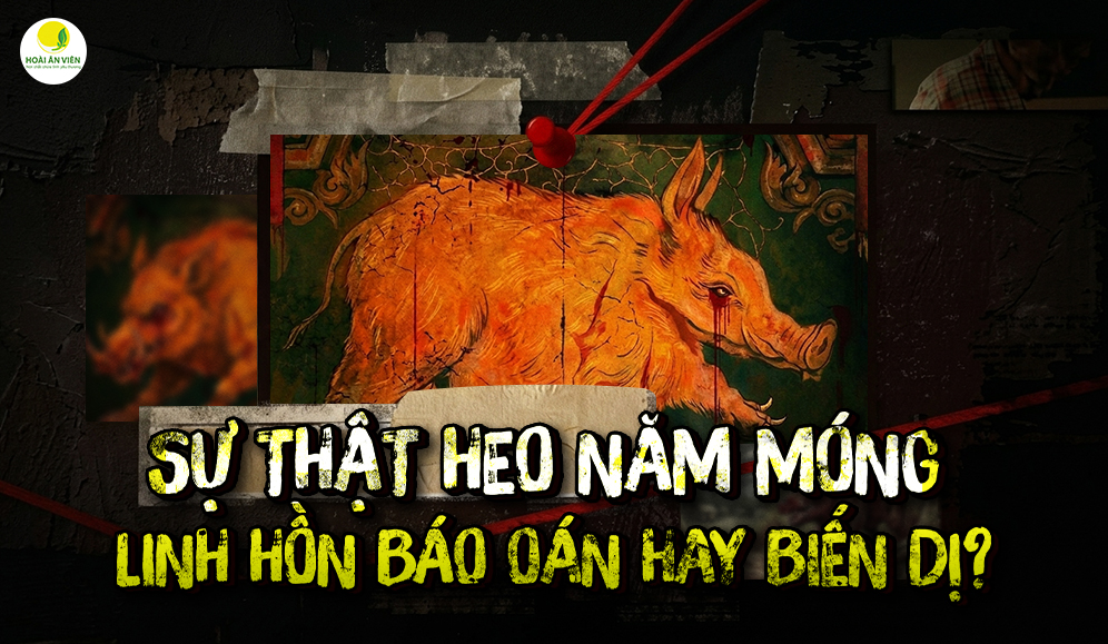 SỰ THẬT HEO NĂM MÓNG: LINH HỒN BÁO OÁN HAY BIẾN DỊ?