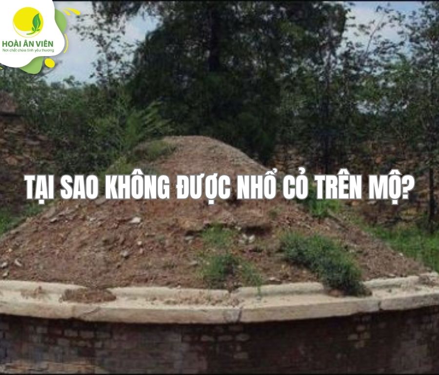 Tại sao không được nhổ cỏ trên mộ?