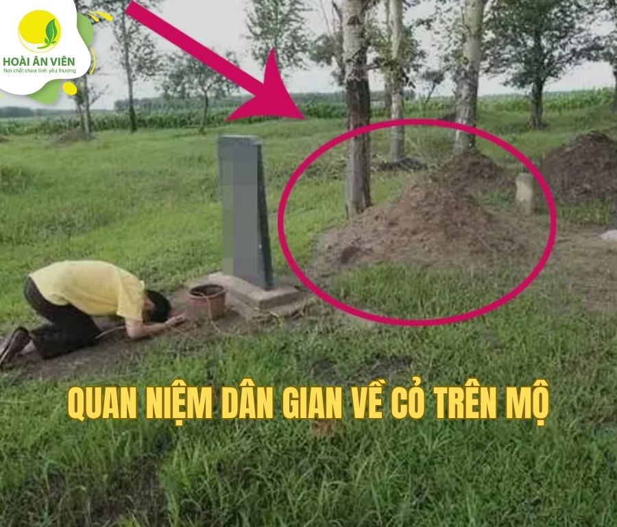 Quan niệm dân gian về cỏ trên mộ