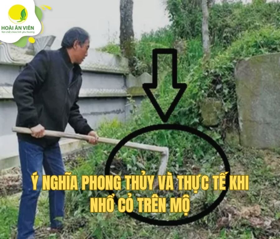 Ý nghĩa phong thủy và thực tế khi nhổ cỏ trên mộ