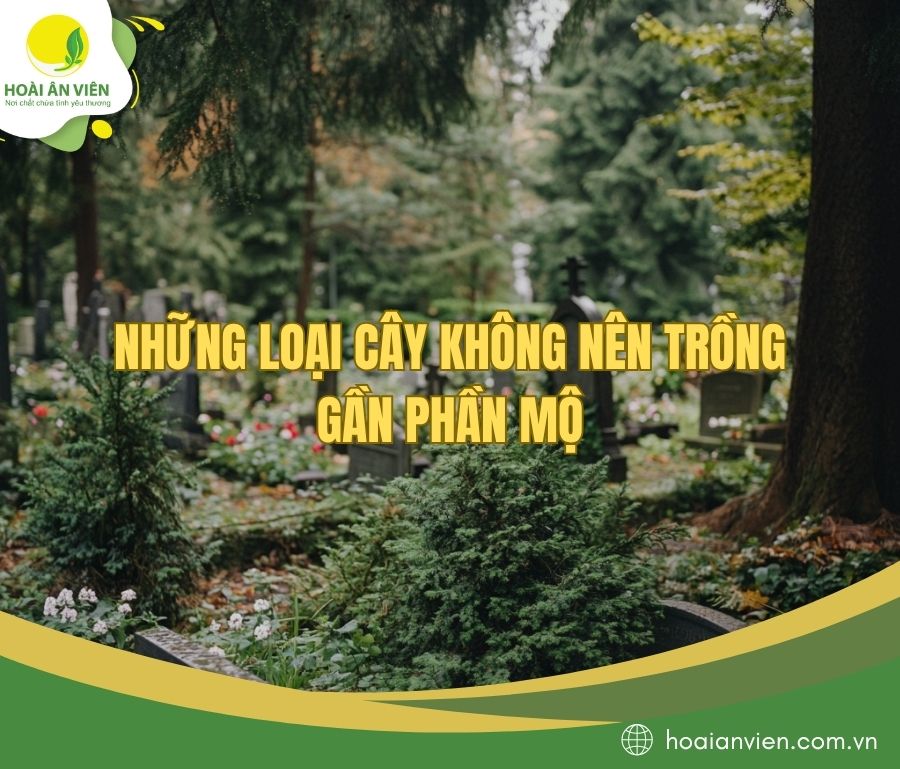 Những loại cây không nên trồng gần phần mộ