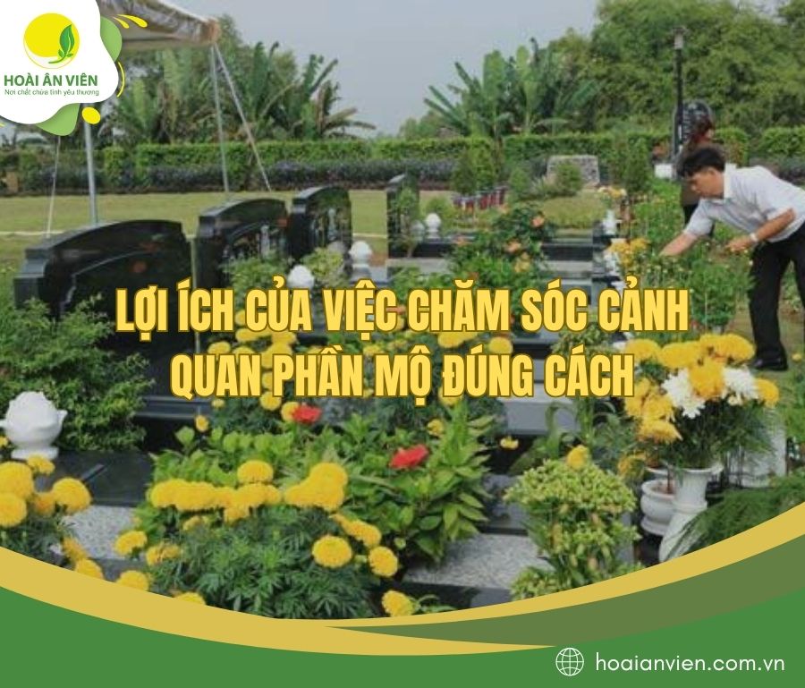 Lợi ích của việc chăm sóc cảnh quan phần mộ đúng cách