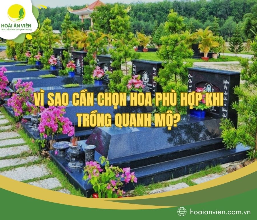 Vì sao cần chọn hoa phù hợp khi trồng quanh mộ?