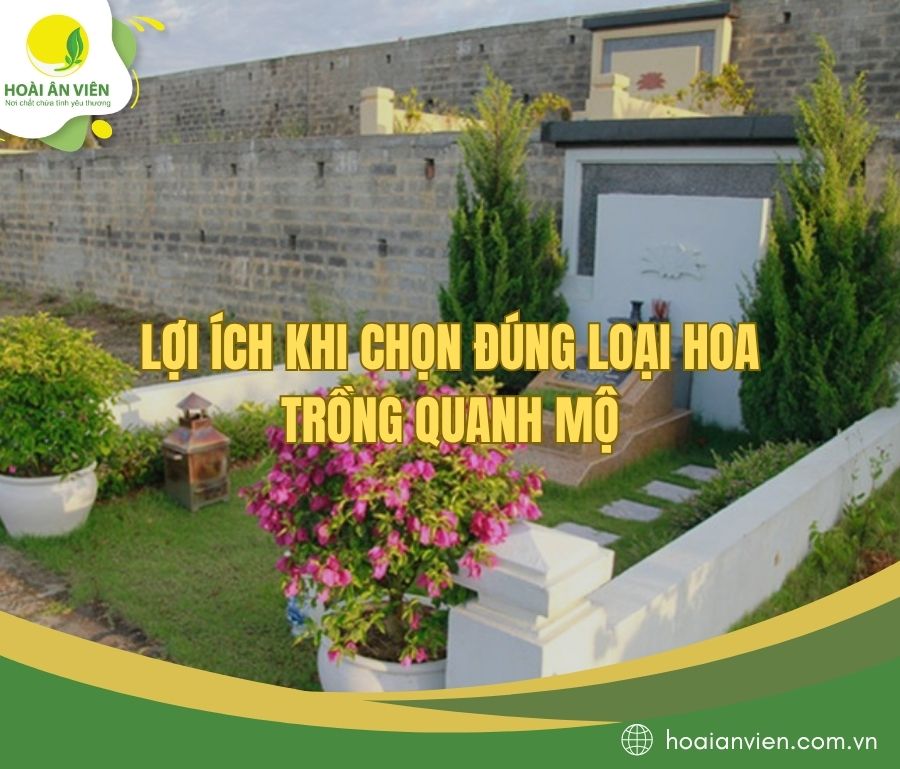 Lợi ích khi chọn đúng loại hoa trồng quanh mộ